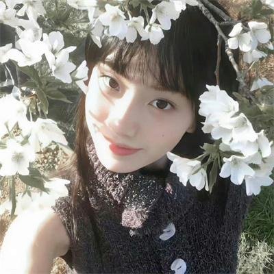 我的宠物少将军