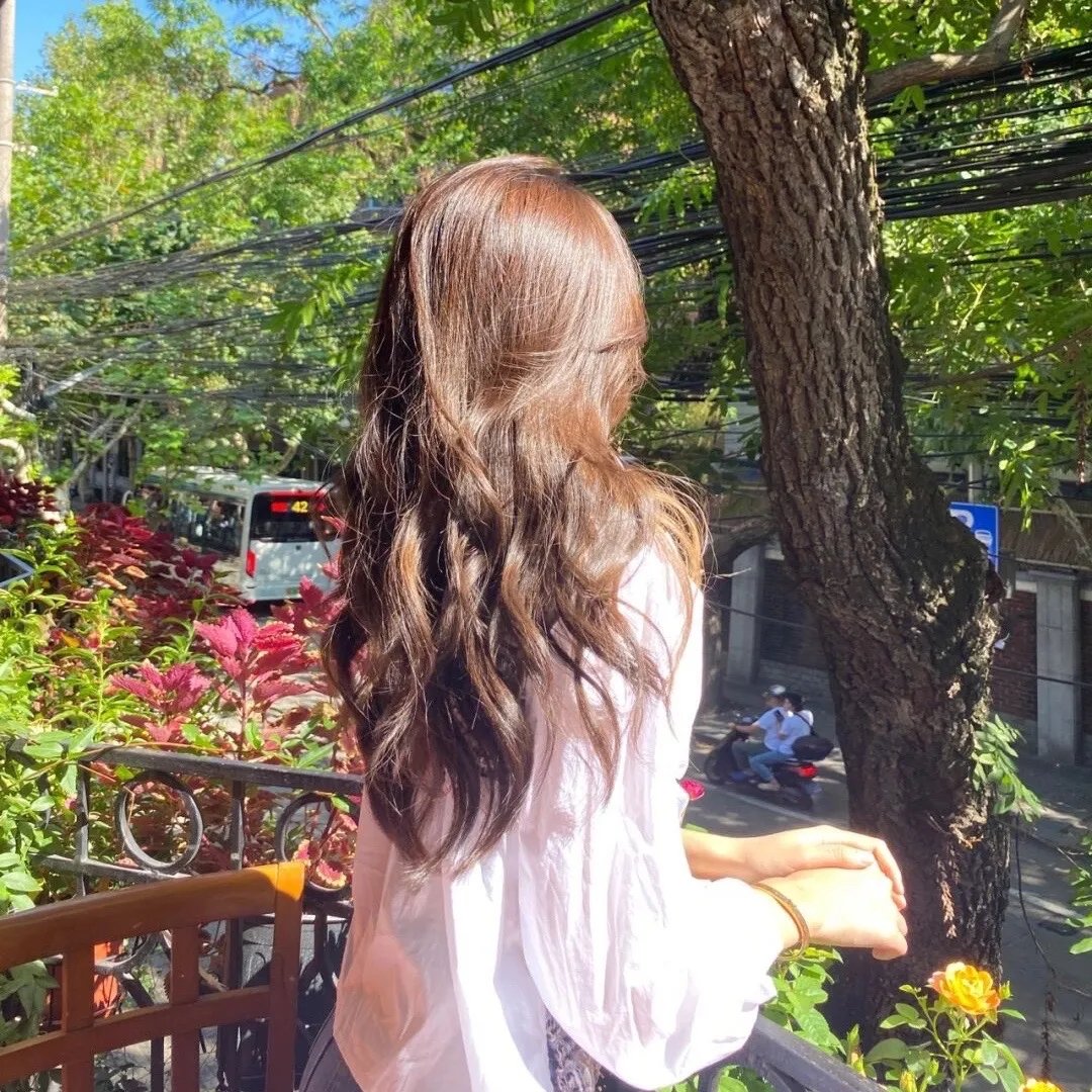 陛下臣真不会修仙